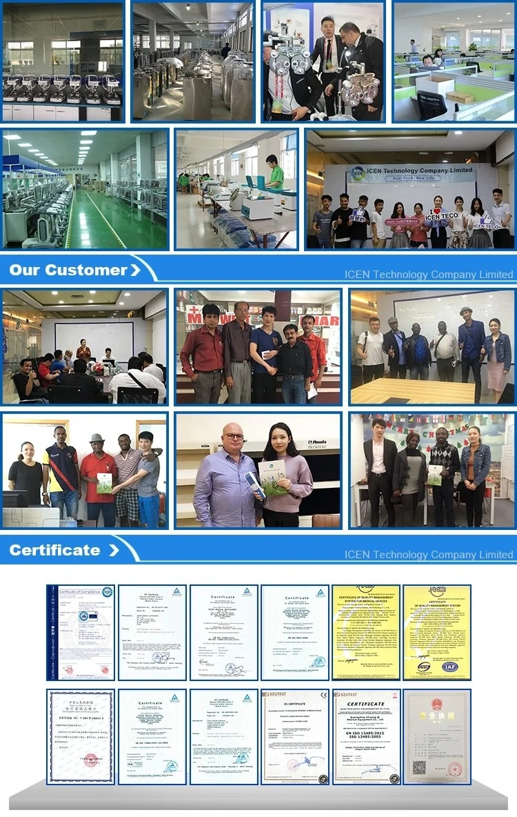 protable auto Lab Pcr Electrophoresis Machine